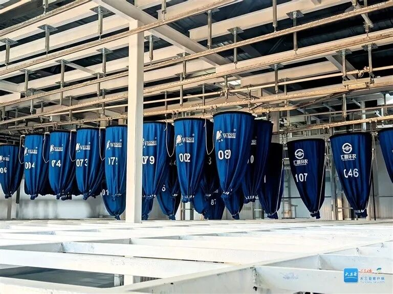 智慧賦能 三亞環(huán)農(nóng)布草洗滌園邁入實(shí)質(zhì)運(yùn)營階段